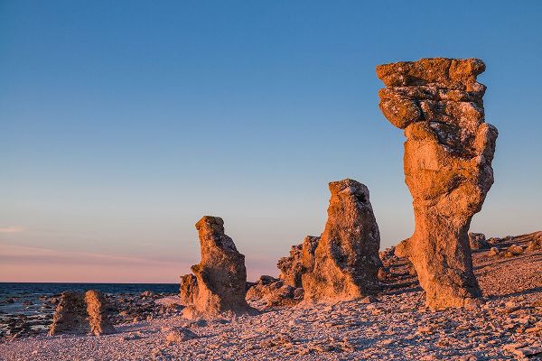 Bibikow, Walter 아티스트의 Sweden-Faro Island-Langhammars Area-Langhammar coastal limestone rauk rock-sunset작품입니다.